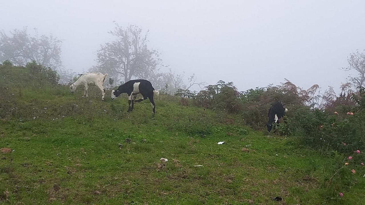 Salora Kodai Kodaikanal Luaran gambar