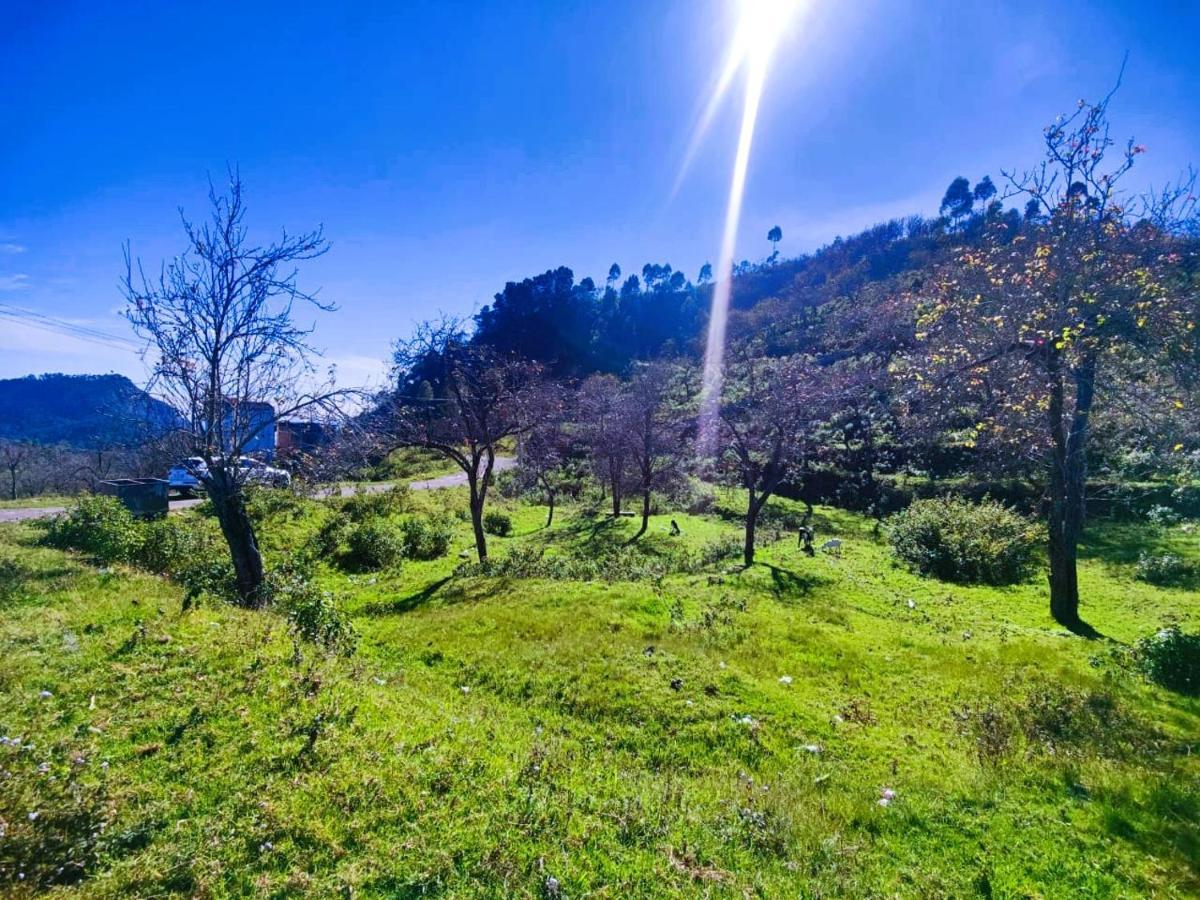 Salora Kodai Kodaikanal Luaran gambar