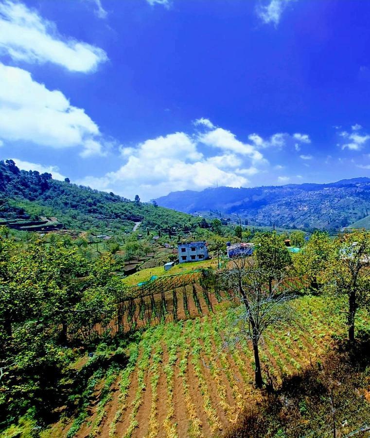Salora Kodai Kodaikanal Luaran gambar